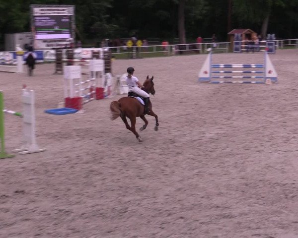 Reitturnier Prussendorf 2021