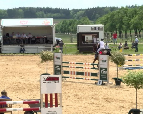 Reitturnier Zoltingen/Schw. 2021