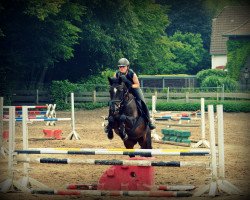 dressage horse Dark Dolly (German Riding Pony, 2003, from Dark Rex)