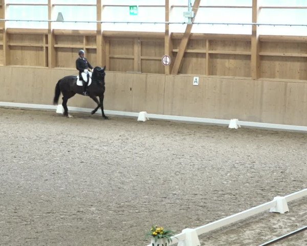 Reitturnier Dielsdorf, Horsepark 2021
