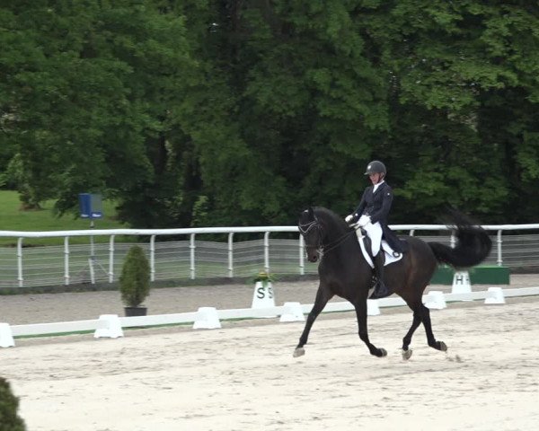 Reitturnier Dielsdorf, Horsepark 2021