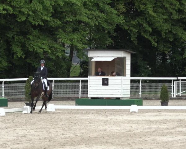 Reitturnier Dielsdorf, Horsepark 2021