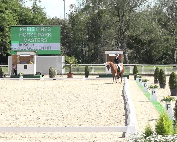 Reitturnier Dielsdorf, Horsepark 2021