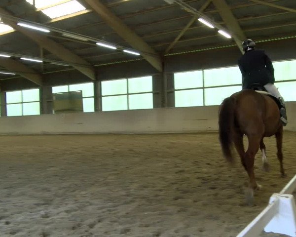 Reitturnier Bissegg 2021
