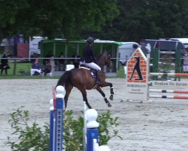 Reitturnier Nienberge-Schonebeck 2021