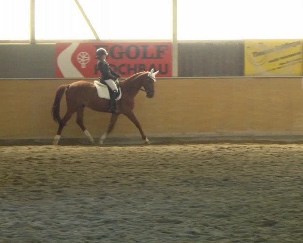 Reitturnier Bissegg 2021