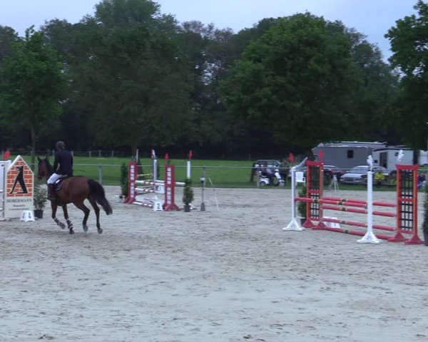 Reitturnier Nienberge-Schonebeck 2021