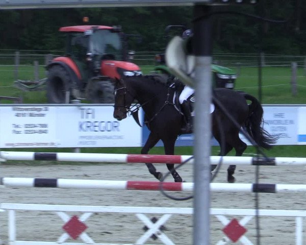 Reitturnier Nienberge-Schonebeck 2021