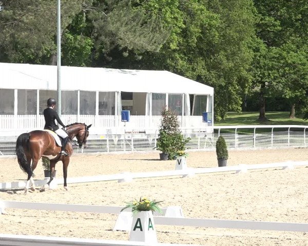 Reitturnier Dielsdorf, Horsepark 2021