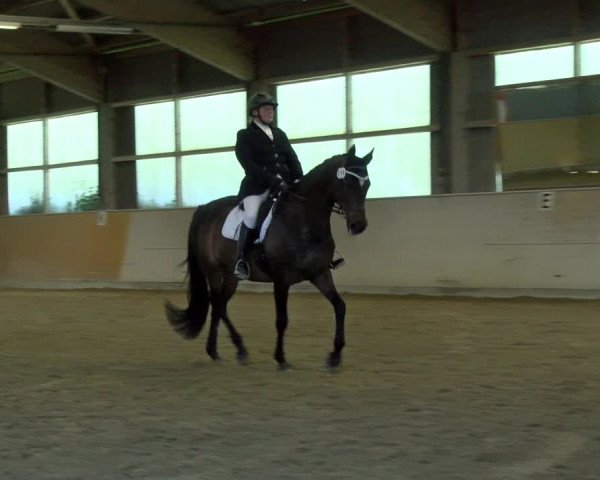 Reitturnier Bissegg 2021