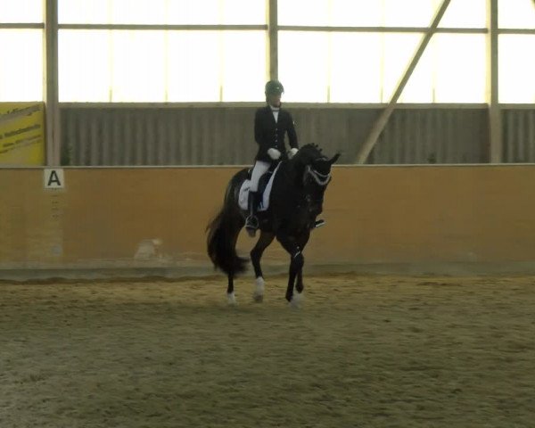 Reitturnier Bissegg 2021