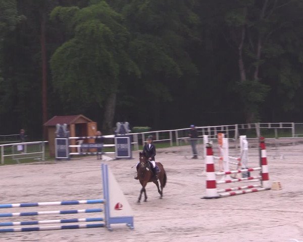 Reitturnier Prussendorf 2021
