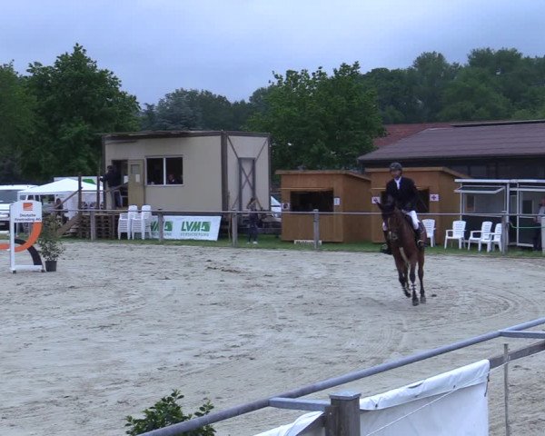 Reitturnier Nienberge-Schonebeck 2021