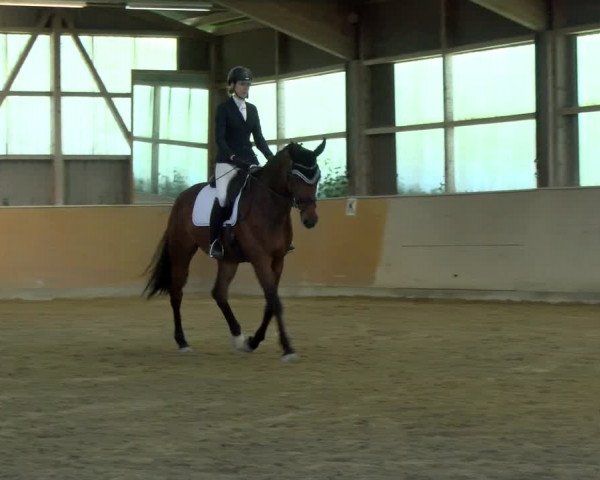 Reitturnier Bissegg 2021