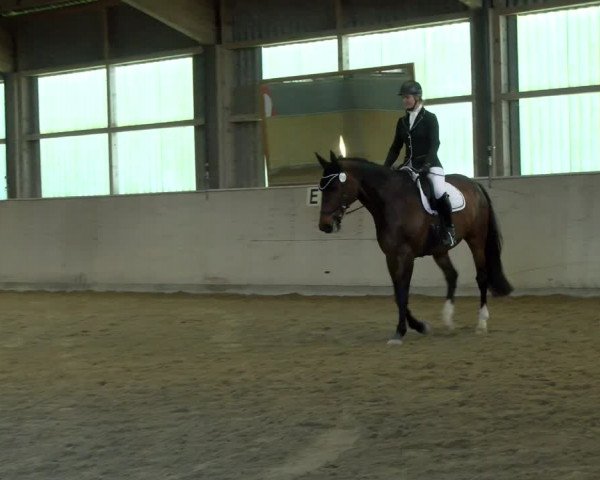 Reitturnier Bissegg 2021