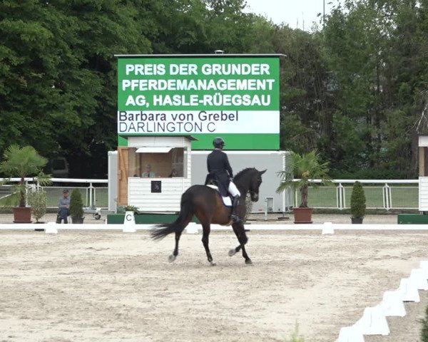 Reitturnier Dielsdorf, Horsepark 2021