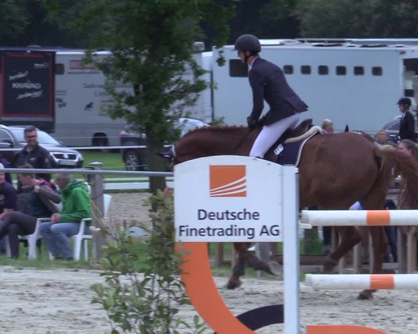 Reitturnier Nienberge-Schonebeck 2021