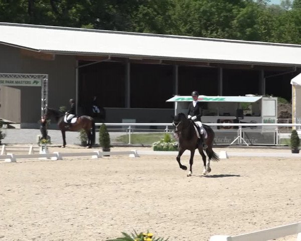 Reitturnier Dielsdorf, Horsepark 2021