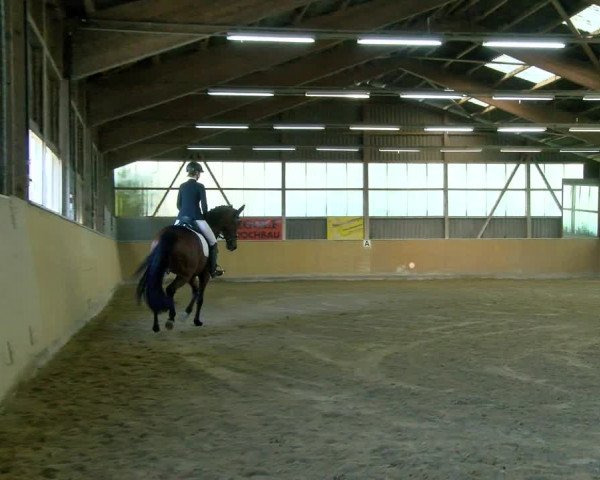 Reitturnier Bissegg 2021