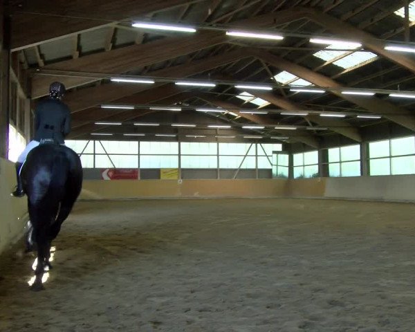 Reitturnier Bissegg 2021