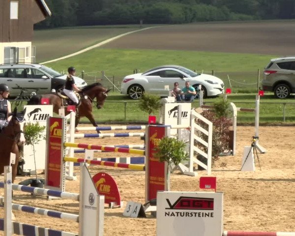Reitturnier Zoltingen/Schw. 2021