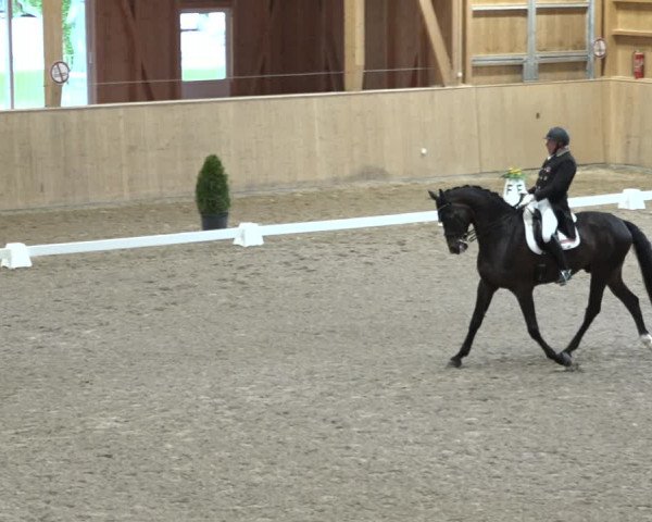 Reitturnier Dielsdorf, Horsepark 2021