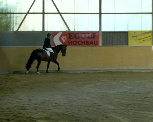 Reitturnier Bissegg 2021
