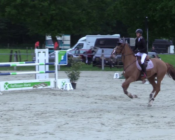 Reitturnier Nienberge-Schonebeck 2021