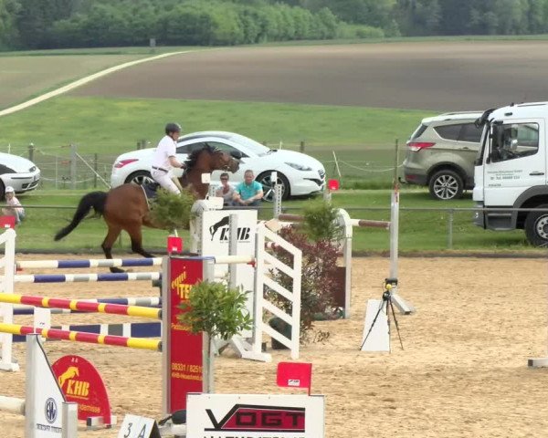 Reitturnier Zoltingen/Schw. 2021