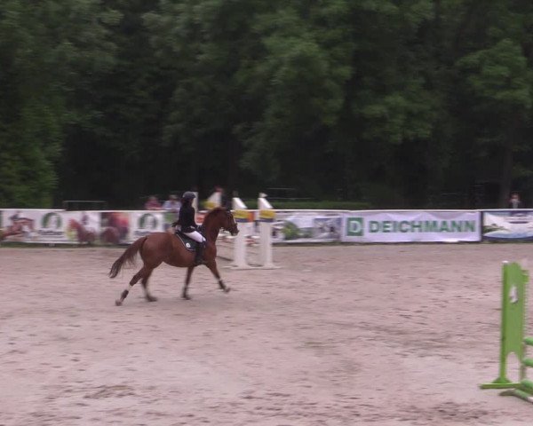 Reitturnier Prussendorf 2021