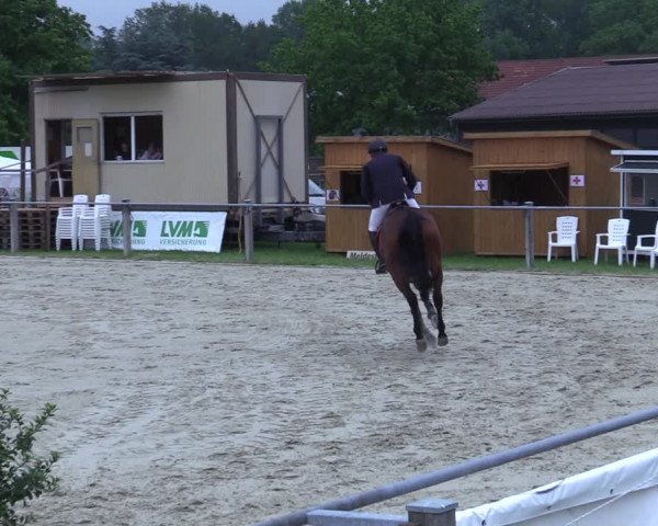 Reitturnier Nienberge-Schonebeck 2021