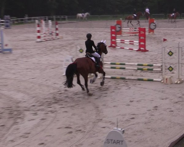 Reitturnier Prussendorf 2021