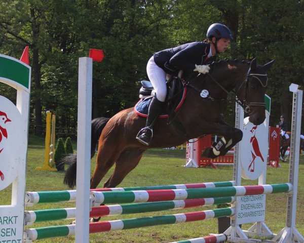 dressage horse Nashville de Luxe (German Riding Pony, 2009, from Noir de Luxe)