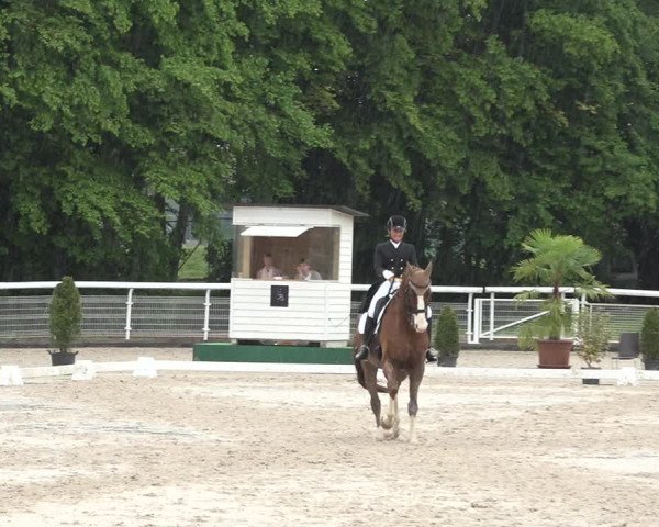 Reitturnier Dielsdorf, Horsepark 2021