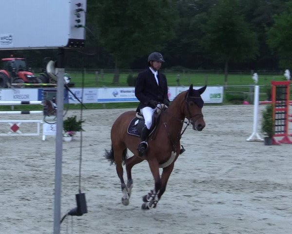 Reitturnier Nienberge-Schonebeck 2021