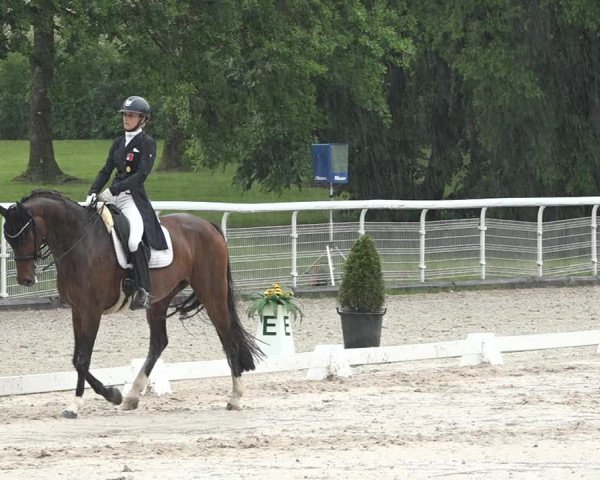 Reitturnier Dielsdorf, Horsepark 2021