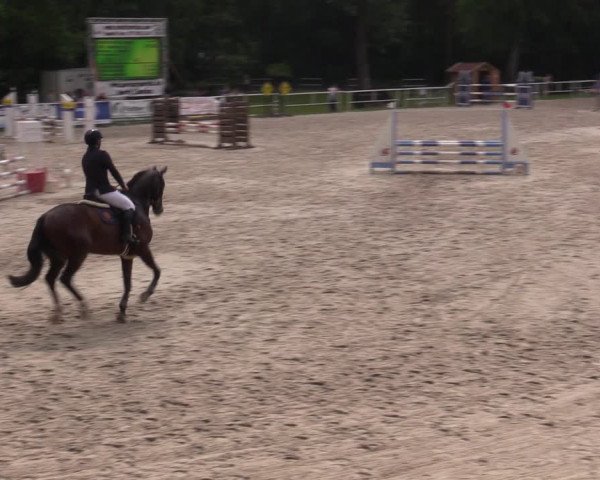 Reitturnier Prussendorf 2021