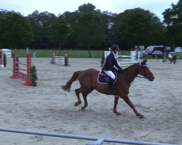 Reitturnier Nienberge-Schonebeck 2021