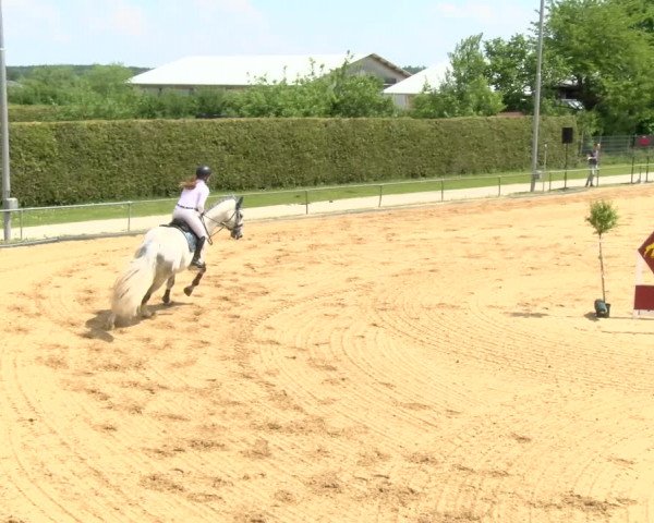 Reitturnier Zoltingen/Schw. 2021