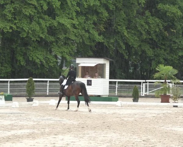 Reitturnier Dielsdorf, Horsepark 2021