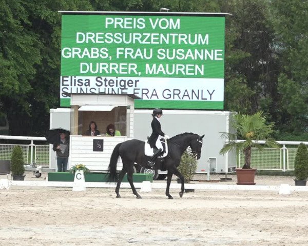 Reitturnier Dielsdorf, Horsepark 2021
