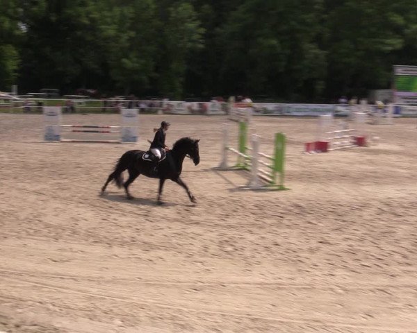 Reitturnier Prussendorf 2021