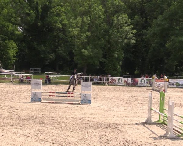 Reitturnier Prussendorf 2021