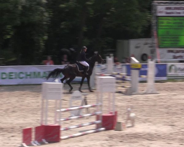 Reitturnier Prussendorf 2021
