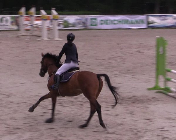 Reitturnier Prussendorf 2021