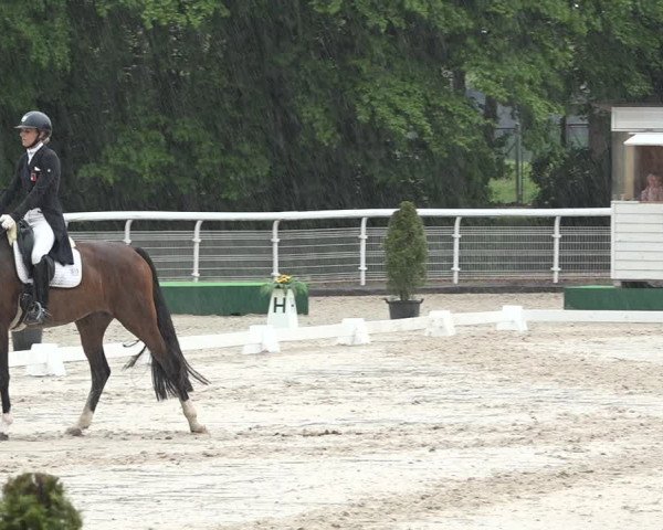 Reitturnier Dielsdorf, Horsepark 2021