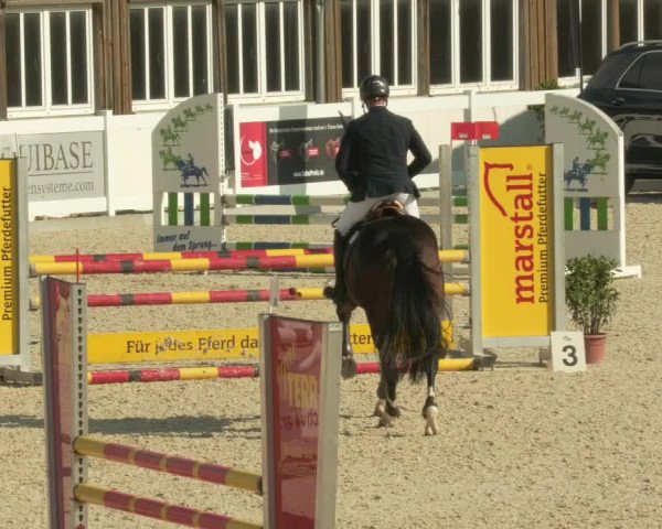 Springturnier Memmingen 2021