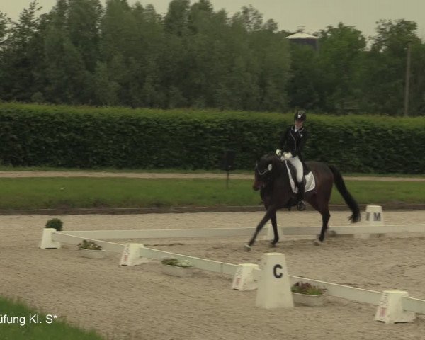 Reitturnier Münster-Handorf 2021