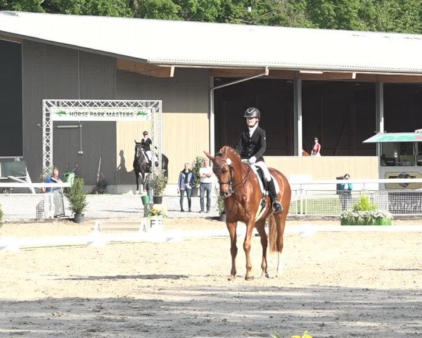 Reitturnier Dielsdorf, Horsepark 2021