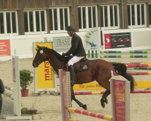 Springturnier Memmingen 2021